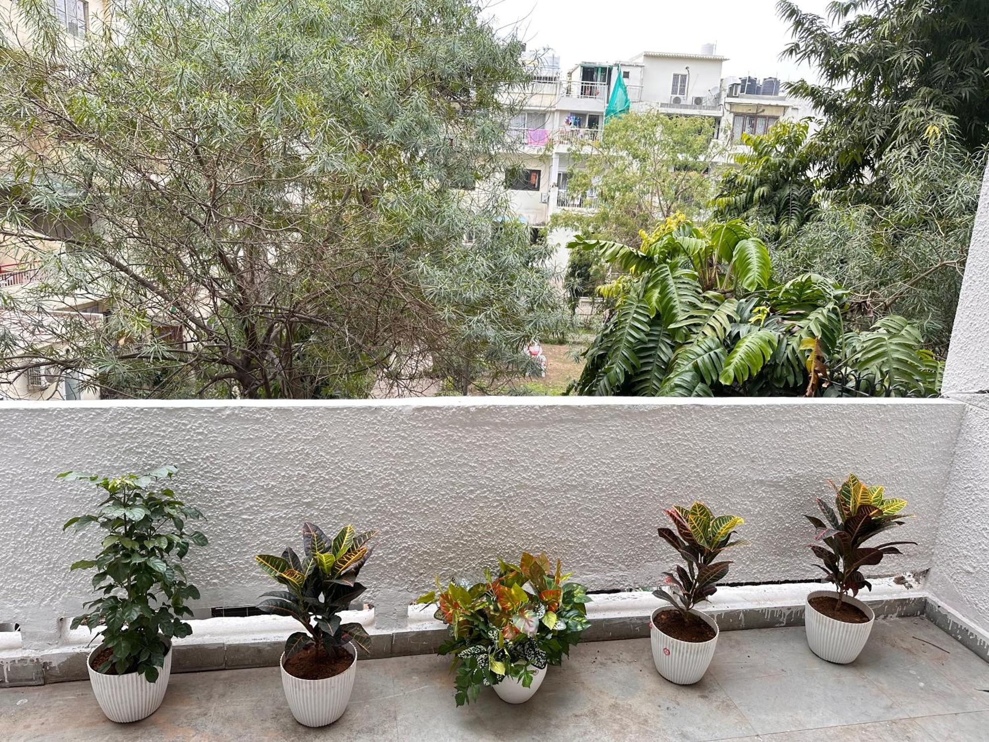 Grove Residency Hauz Khas New Delhi Couple Friendly Hotel Exterior photo
