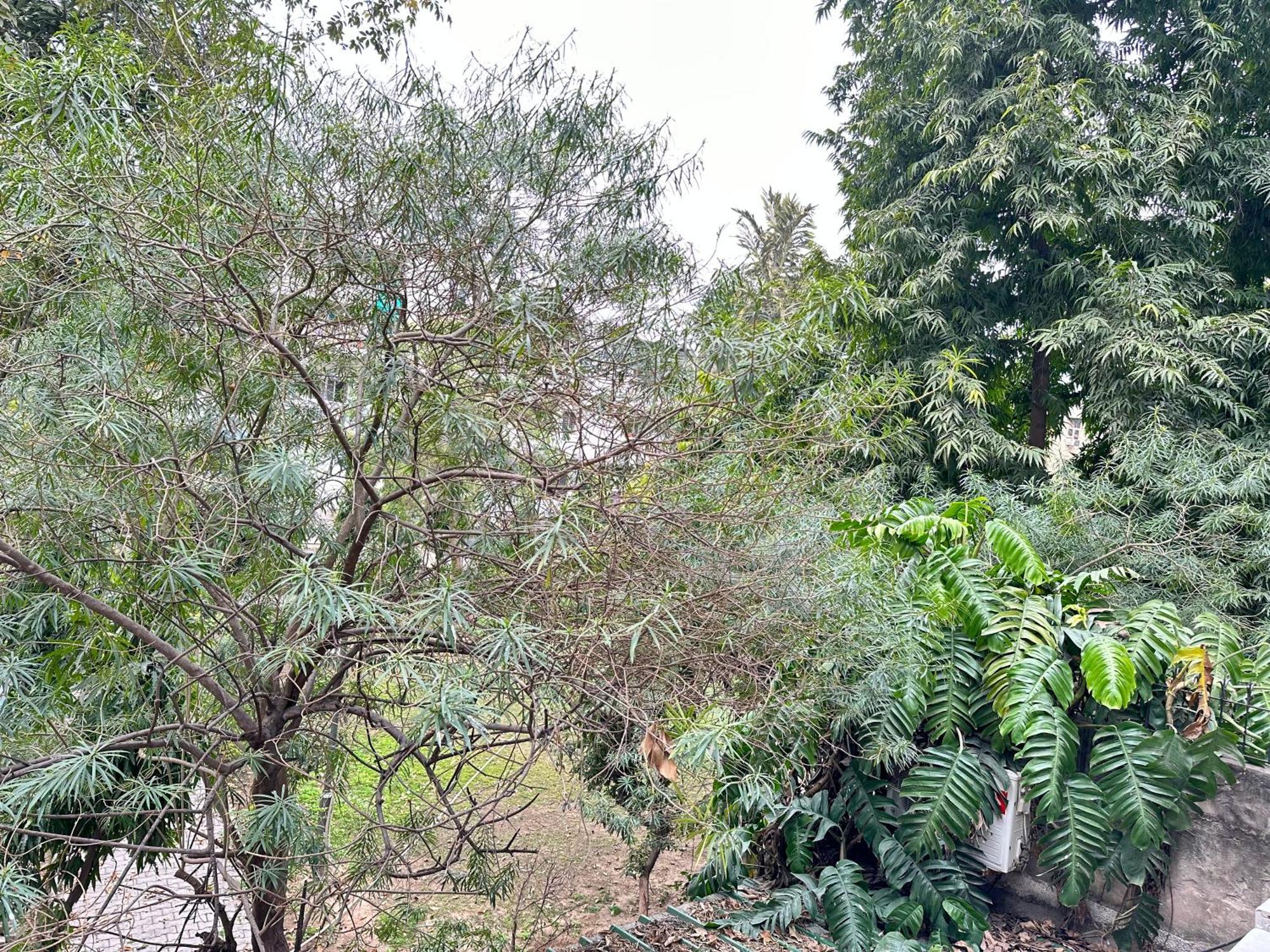 Grove Residency Hauz Khas New Delhi Couple Friendly Hotel Exterior photo